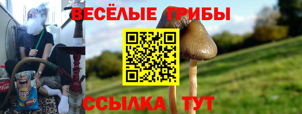 Псилоцибиновые грибы Psilocybe  Галлюциногенные грибы Magic Shrooms  Родники  Вход с VPN 